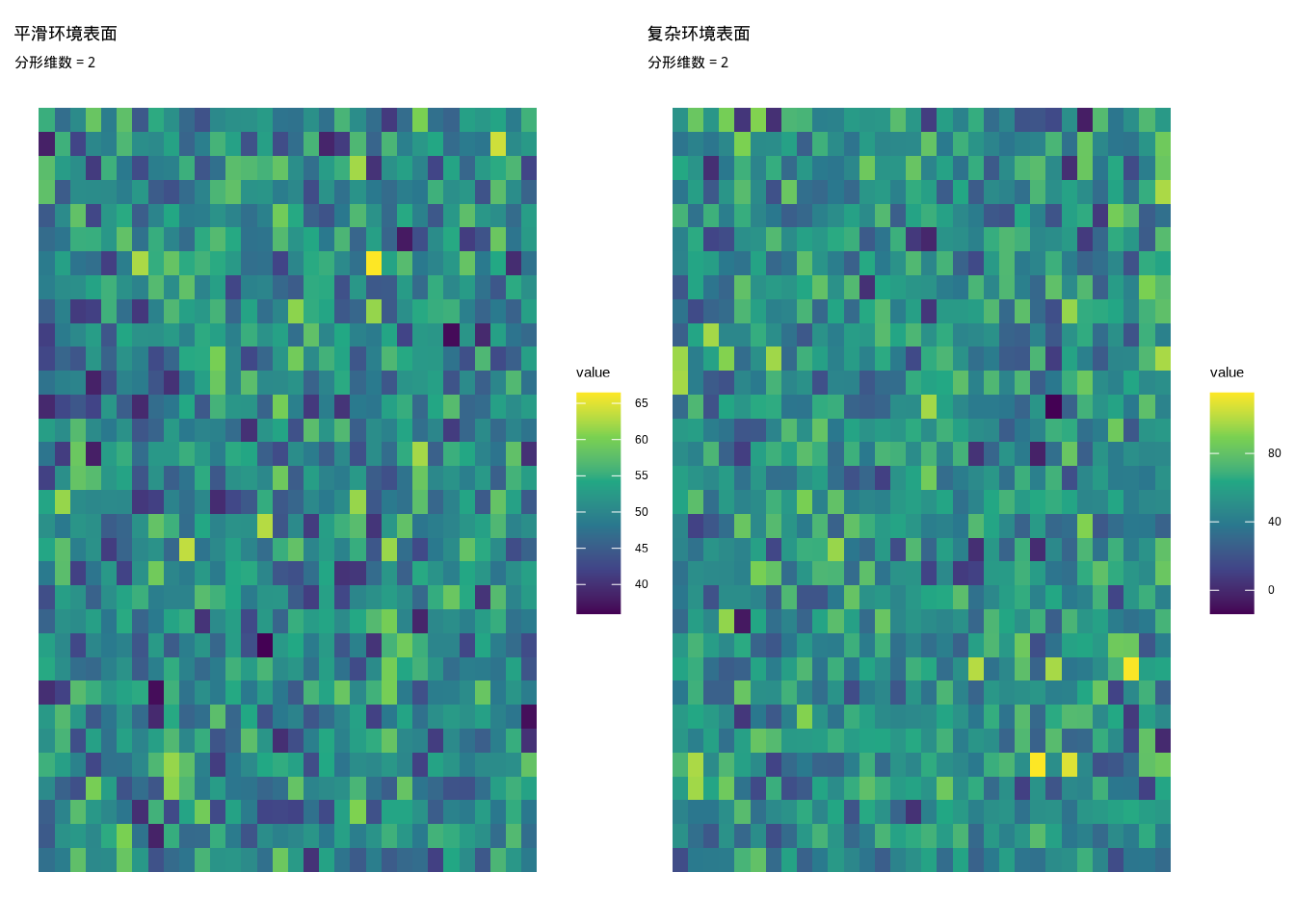 不同复杂程度环境表面的分形维数可视化。左图展示平滑环境表面（低分形维数），右图展示复杂环境表面（高分形维数）。