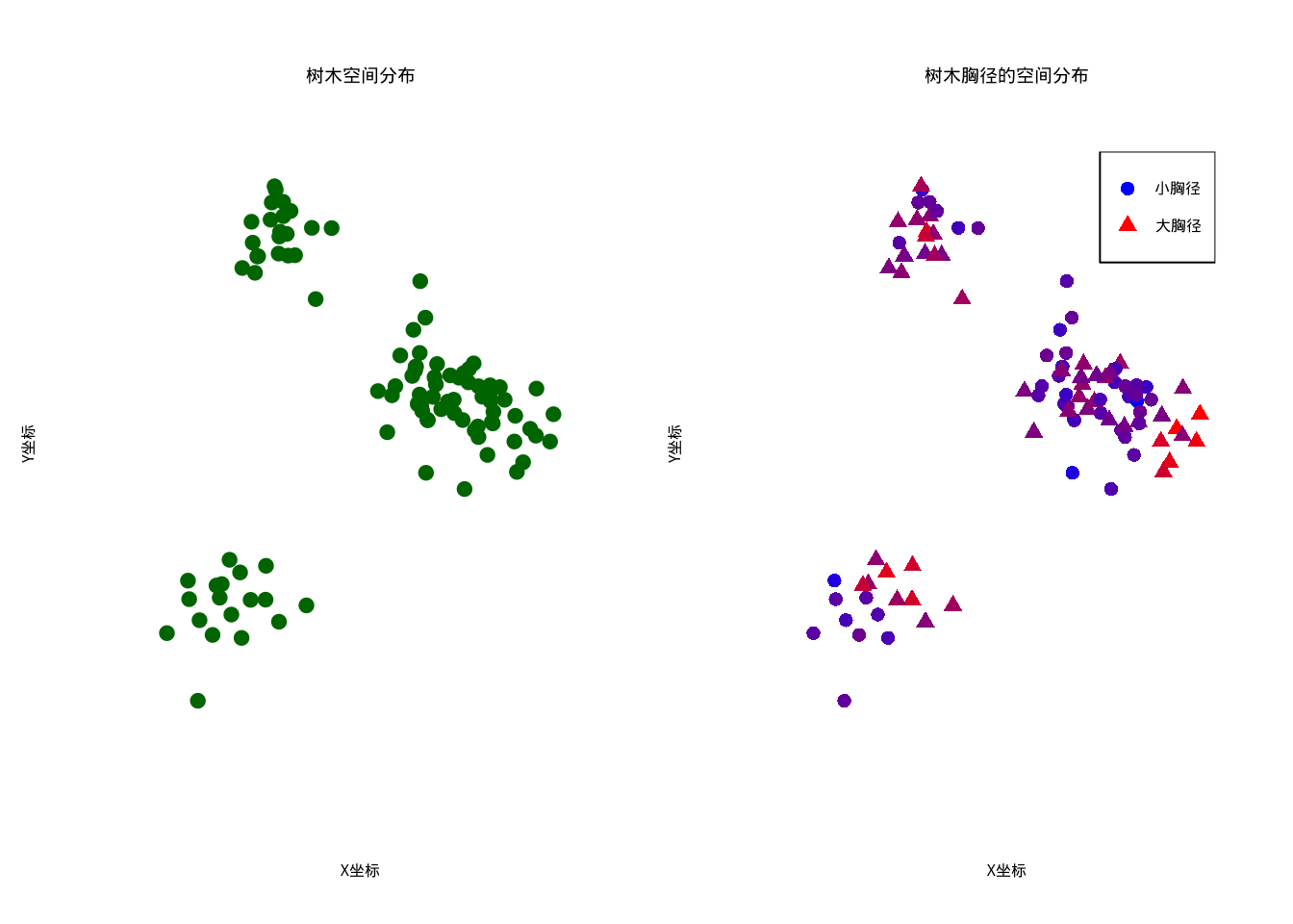 森林树木的空间分布和胸径变异。左图显示树木空间分布，右图使用从蓝色到红色的颜色渐变表示胸径大小，同时通过圆点和三角形的点型区分小胸径和大胸径